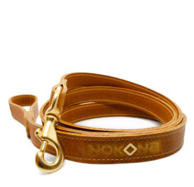 1″ Dog Leash – Generation™ Leather