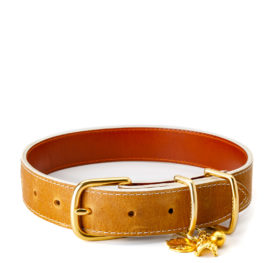 Dog Collar – Generation™ Leather