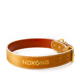 Dog Collar – Generation™ Leather